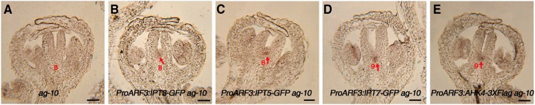 Figure 6.