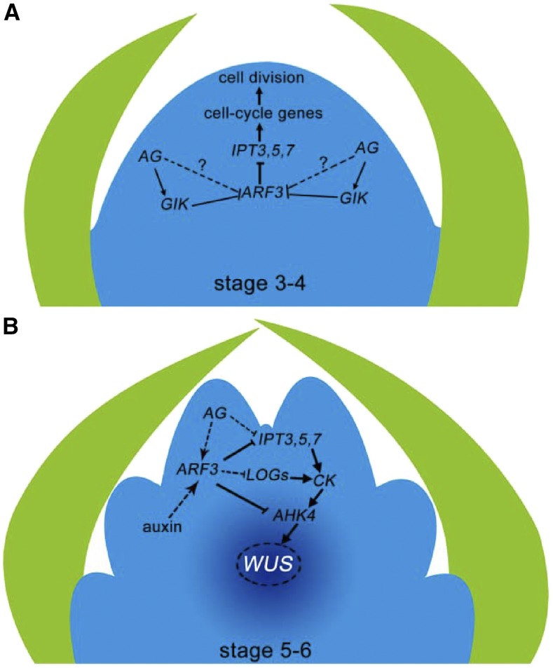 Figure 11.