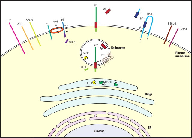 Figure 2.