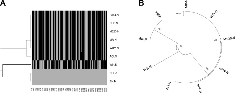 Fig. 9.