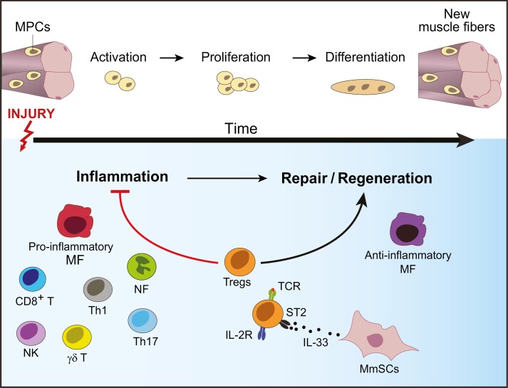 Graphical Abstract