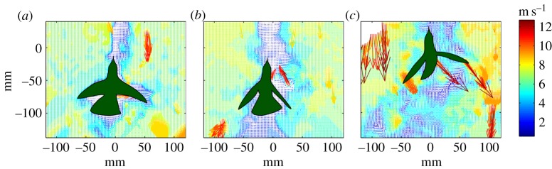 Figure 3.