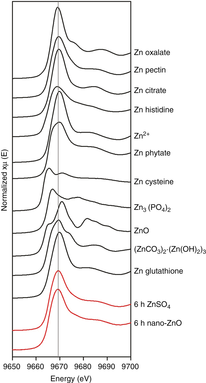 Fig. 7.