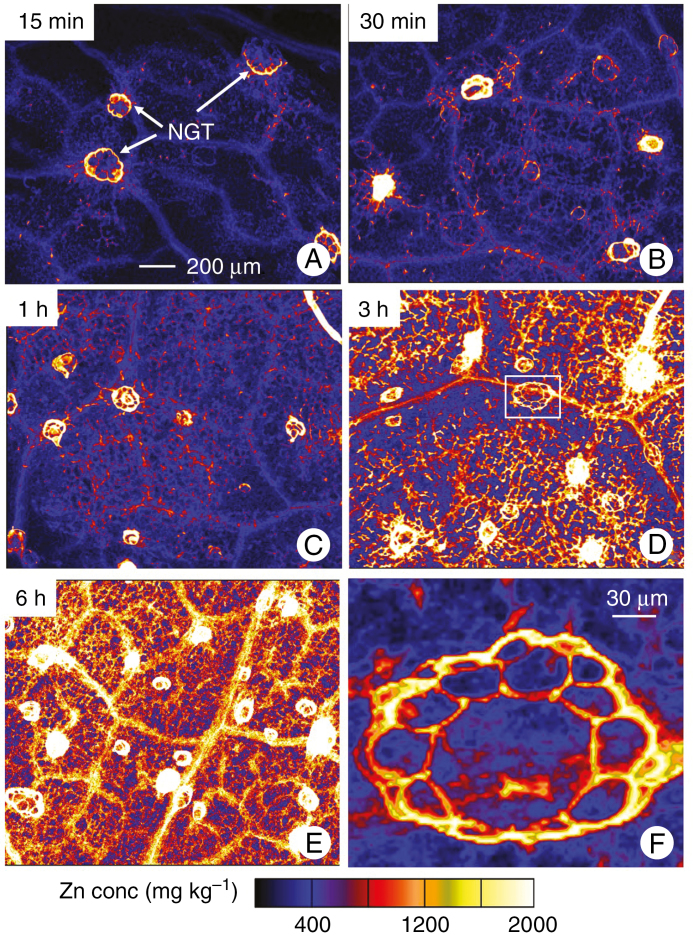 Fig. 3.