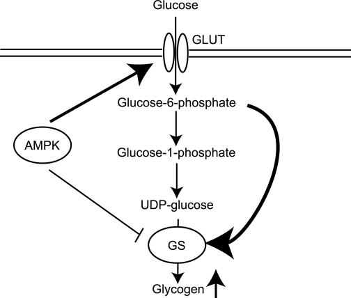 FIG. 8.