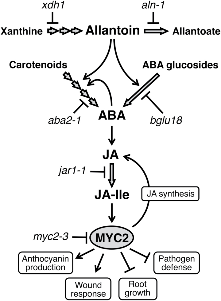 Fig. 7.