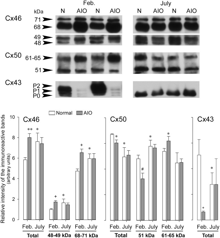 Fig 7