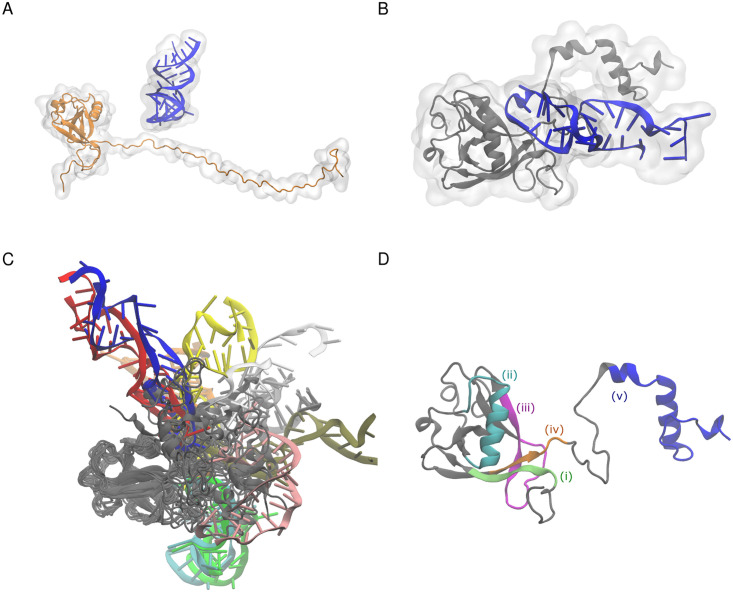 Fig 1