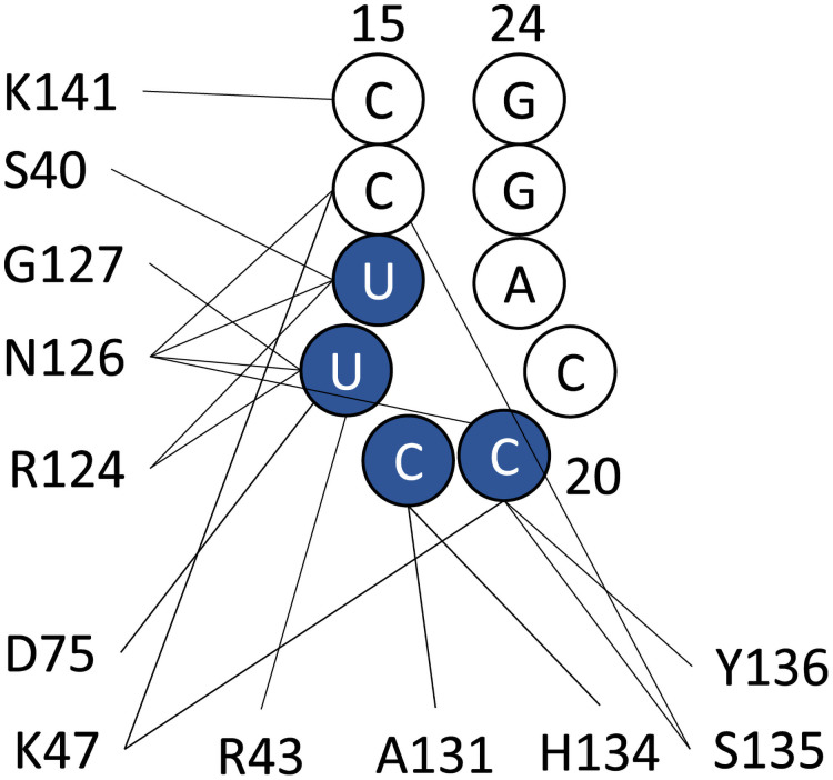 Fig 4