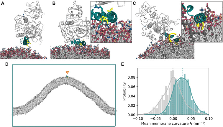 Fig. 6.