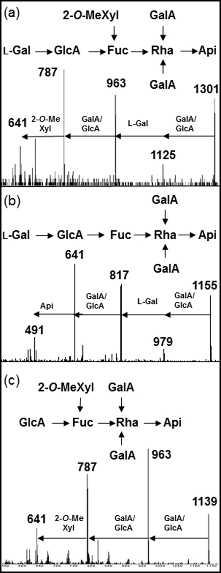 FIGURE 4.