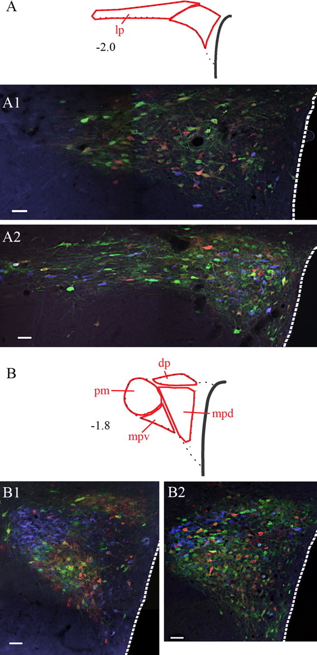 Figure 7.