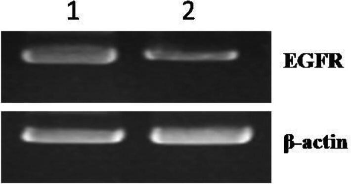 Fig. 3a