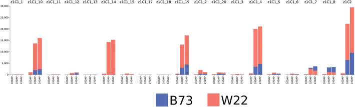 FIGURE 5