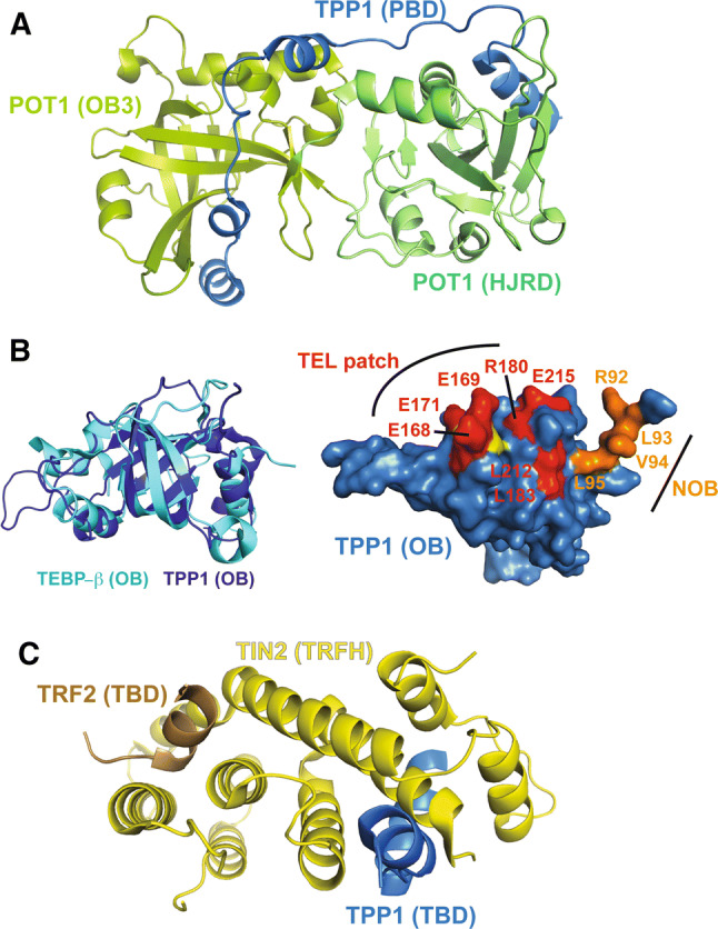 Fig. 4