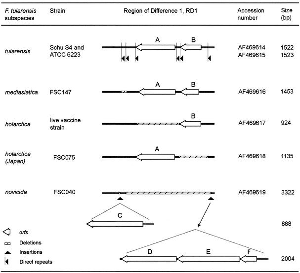 FIG. 2.