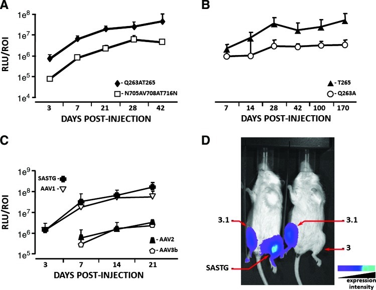 FIG. 2.