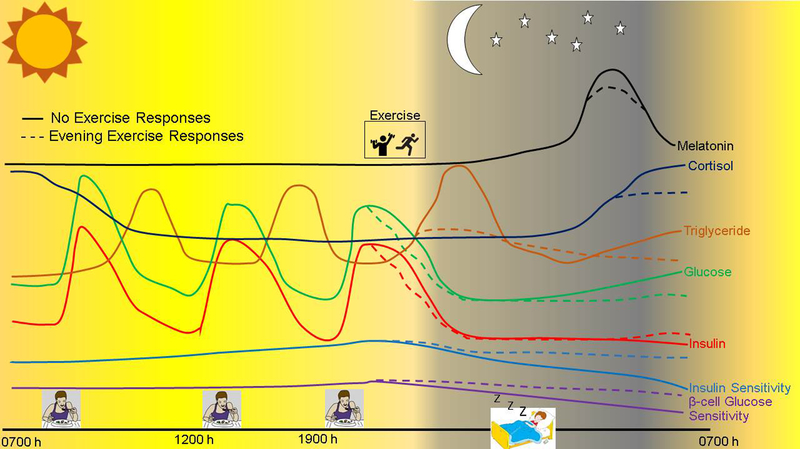 Figure 2: