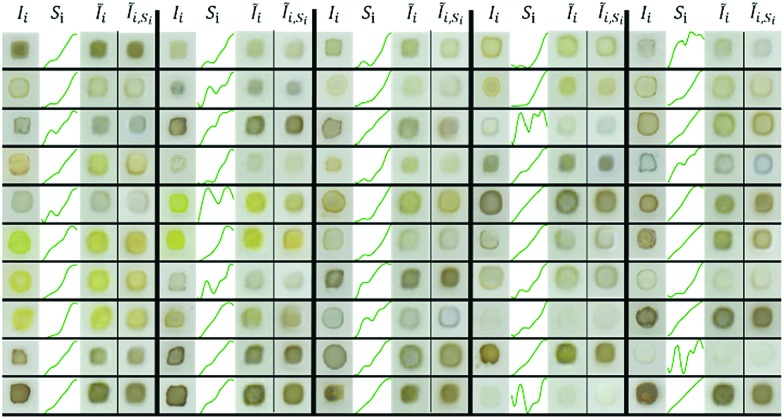 Fig. 3