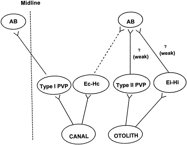 Fig. 13.