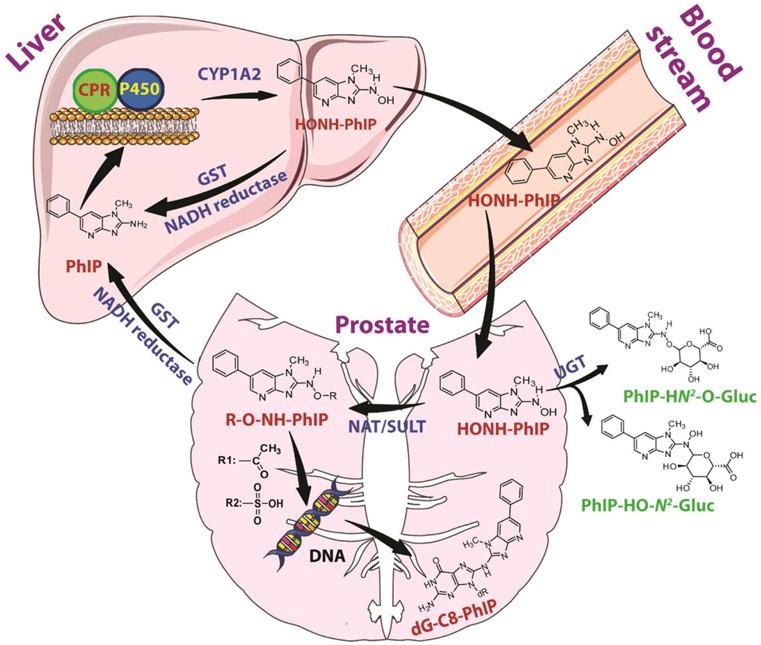 Figure 6: