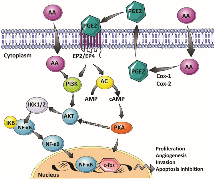 Figure 1: