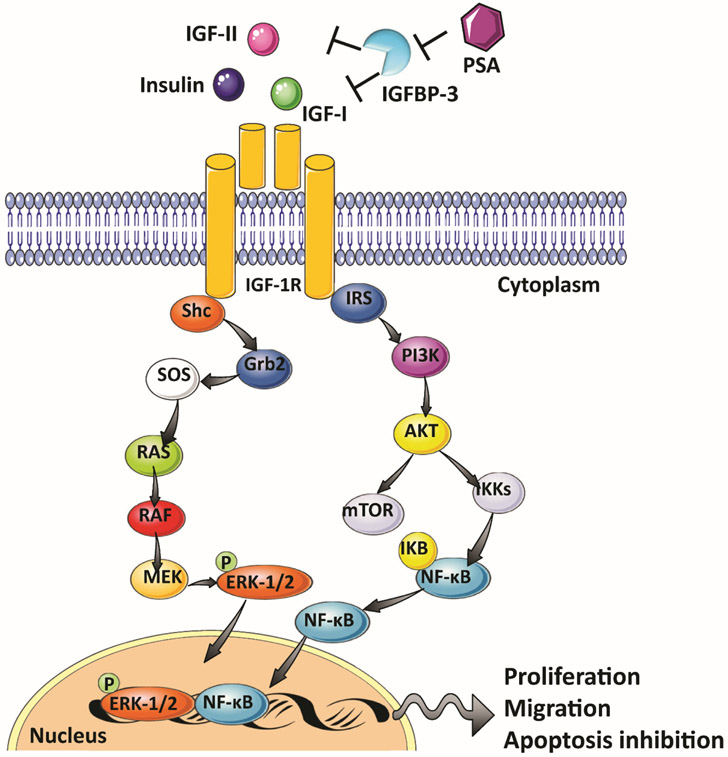 Figure 3: