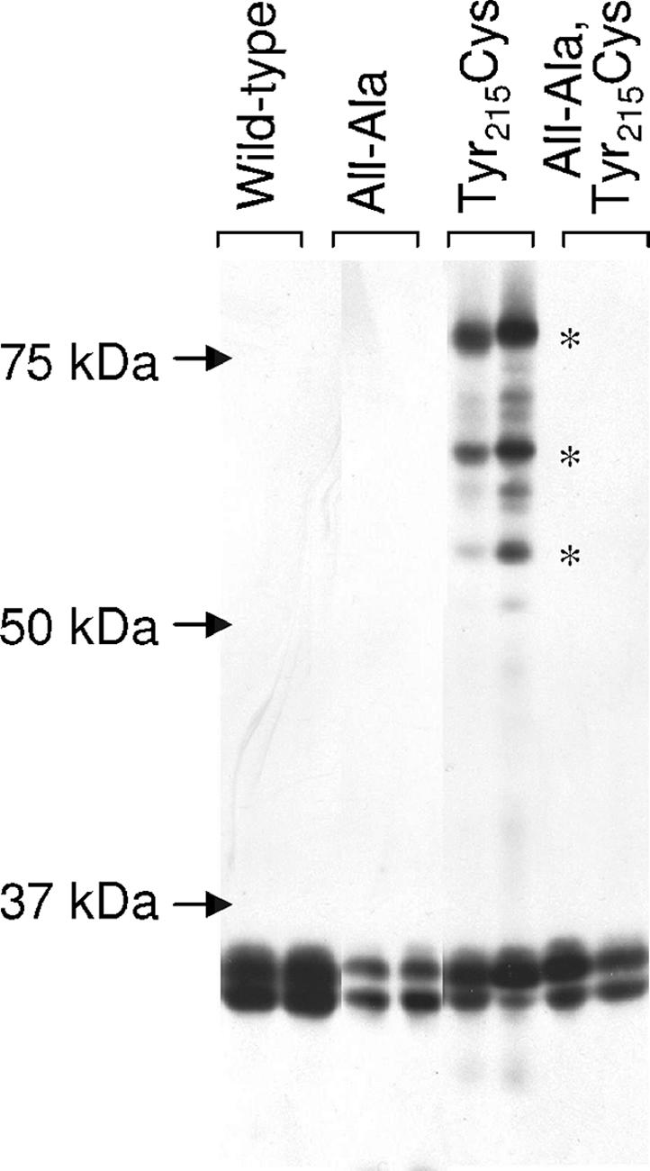 FIG. 5.