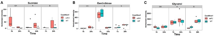 Figure 6