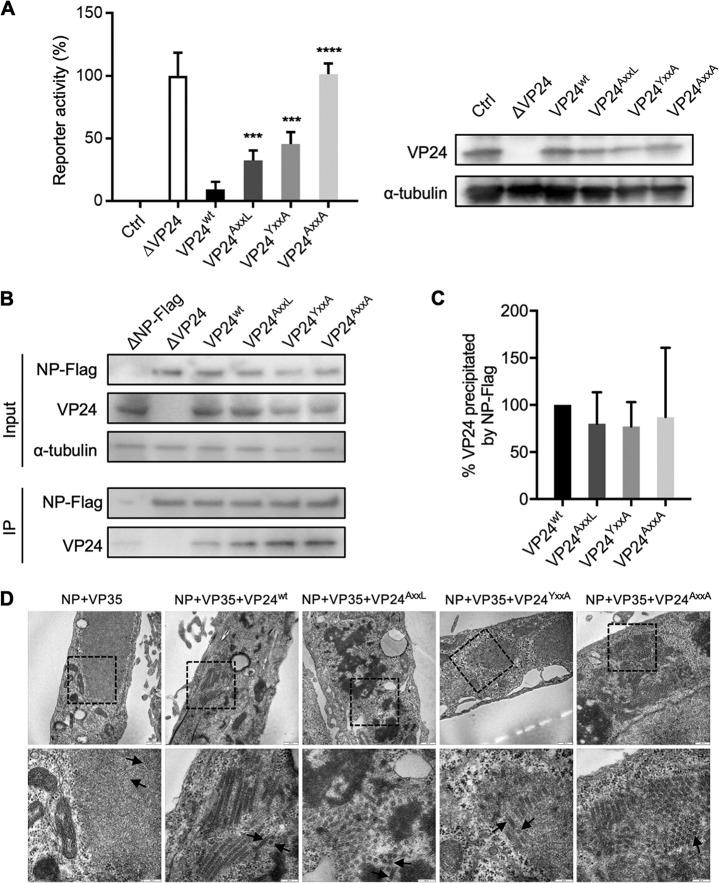 FIG 2