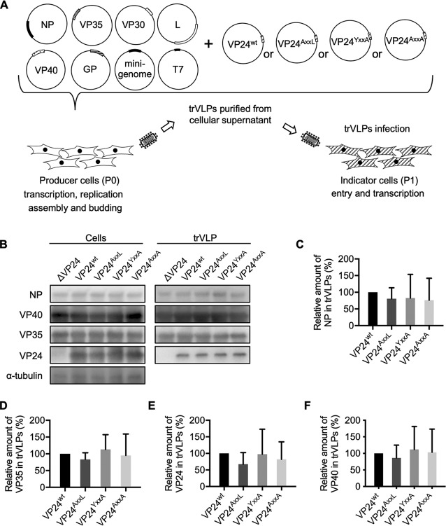 FIG 3