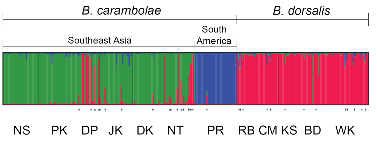 Figure 3.