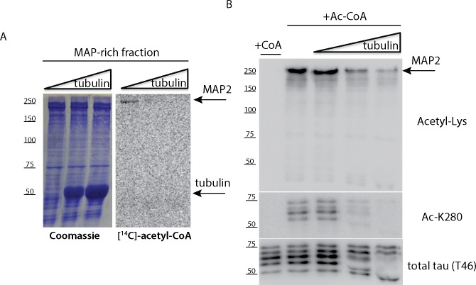 Fig 5