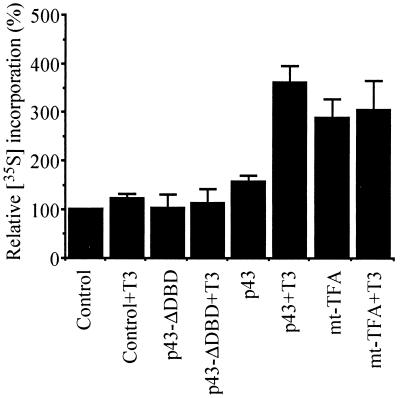 FIG. 7