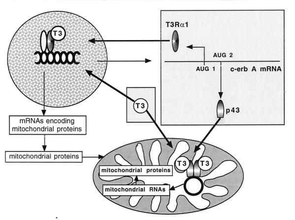 FIG. 10