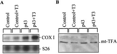 FIG. 9