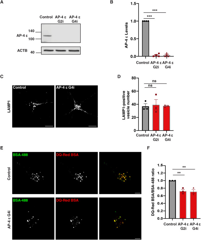 FIGURE 1: