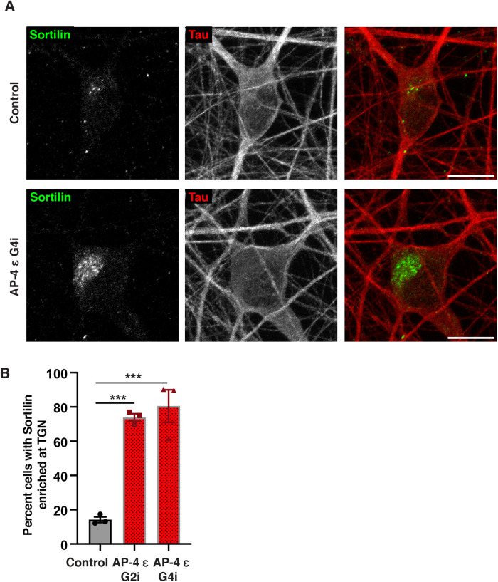 FIGURE 3: