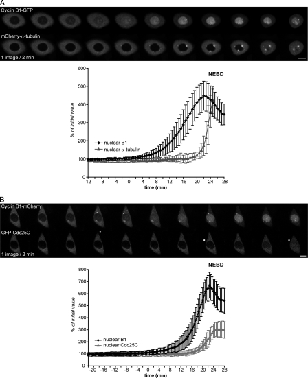 Figure 9.