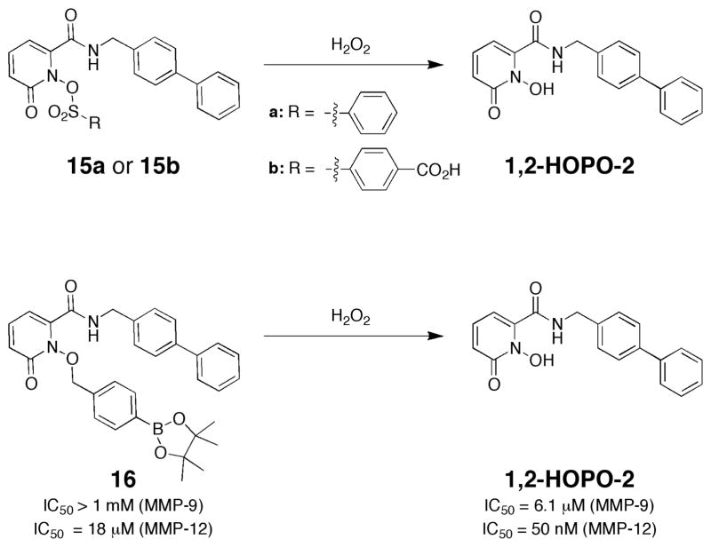 Fig. 10