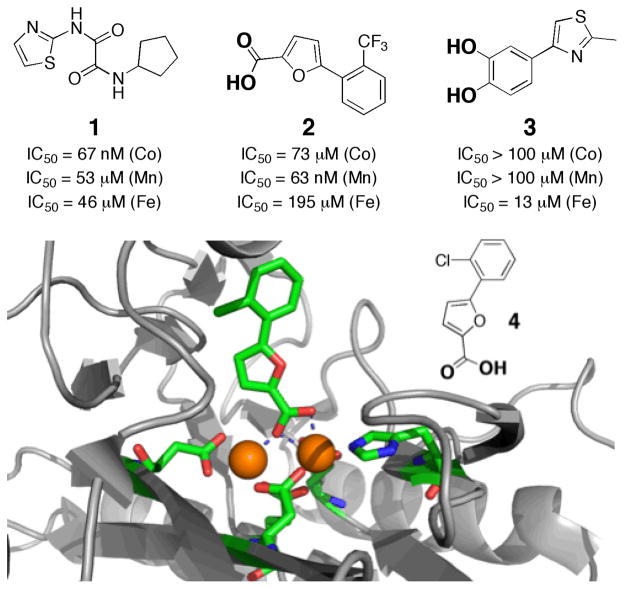 Fig. 4