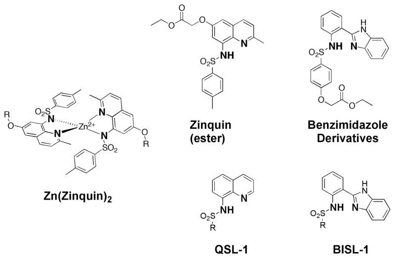 Fig. 8