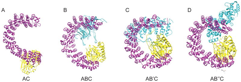 Figure 2