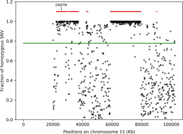 From Cytogenetics To Cytogenomics: Whole-genome Sequencing As A First 