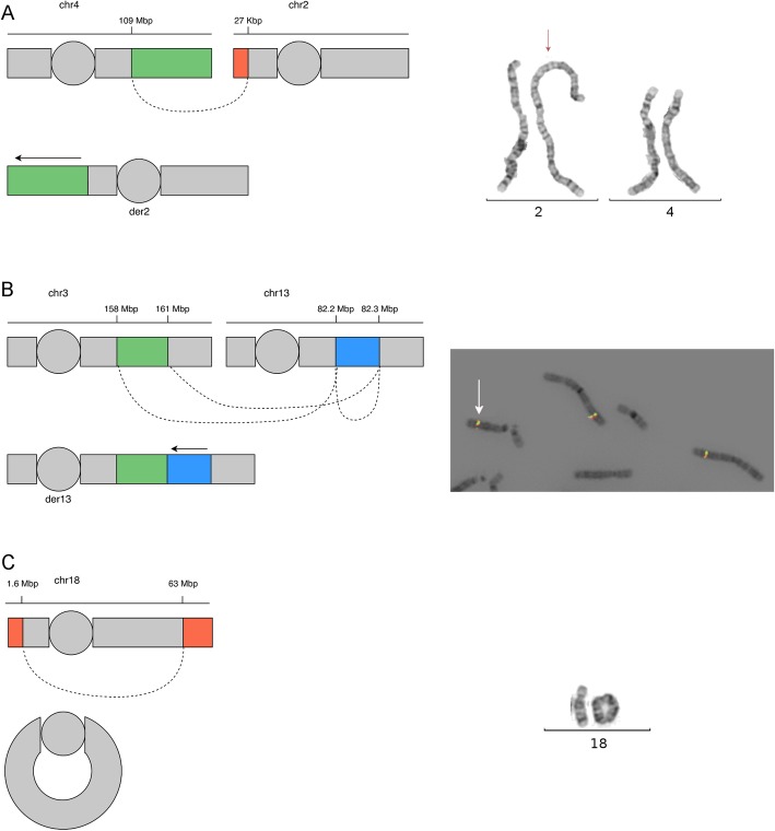 Fig. 3