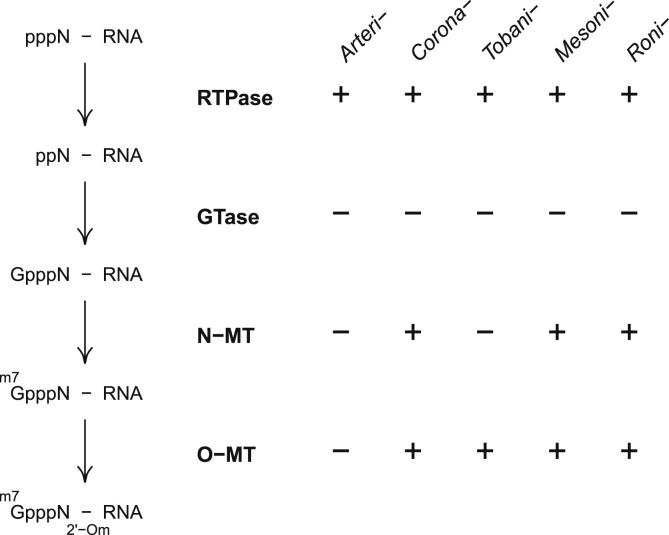 Fig. 4