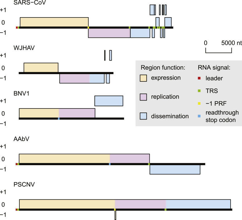 Fig. 2