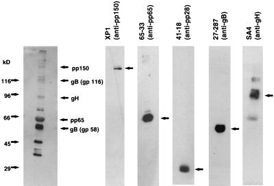 FIG. 6