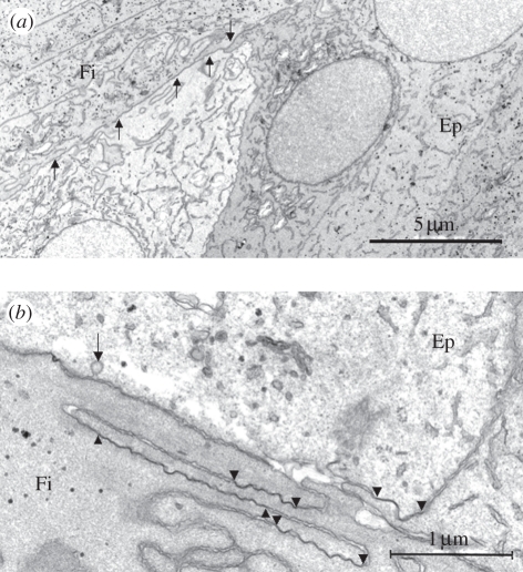 Figure 2.