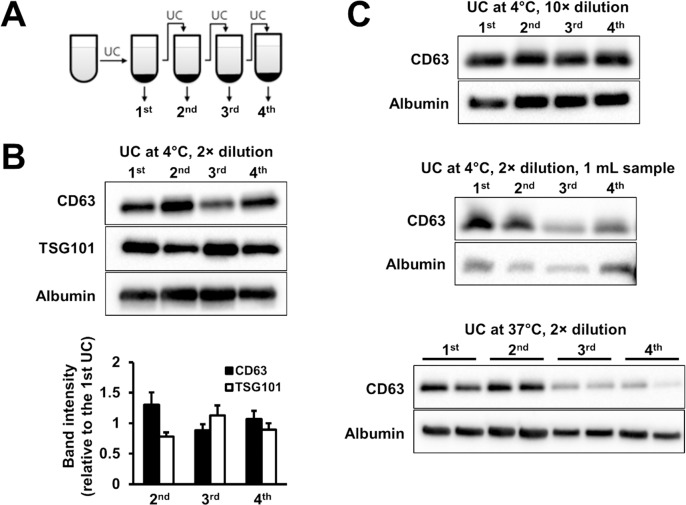 Isolation of Exosomes from Blood Plasma: Qualitative and Quantitative ...